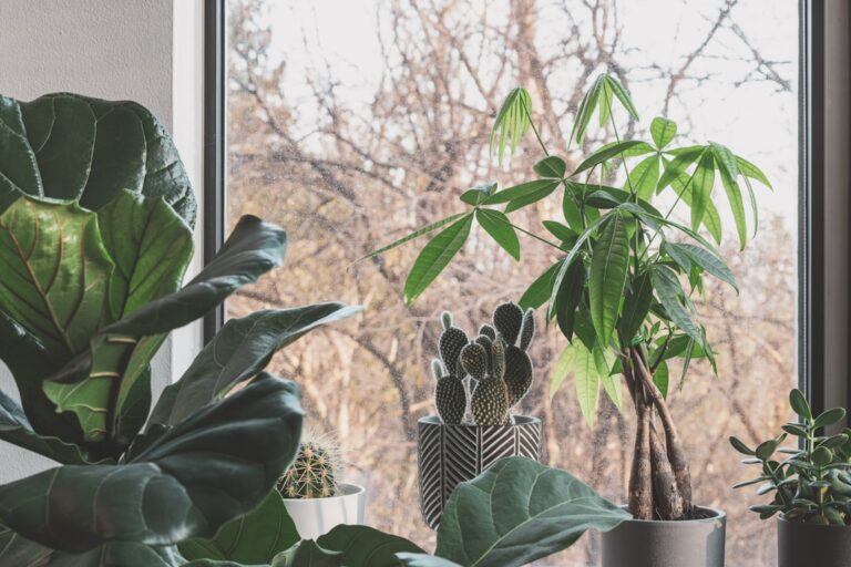 A small green plant growing from a jar of coins, representing your first $1,000 invested starting to grow