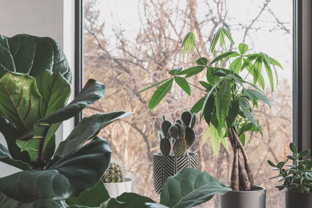 A small green plant growing from a jar of coins, representing your first $1,000 invested starting to grow